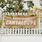 Signmission Farm Fresh Cantaloupe, 24 Inch x 72 Inch, Vinyl Banner B-72-30584 - alternate 3