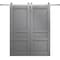 Sartodoors Modern Double Barn Door 48 x 84 inches, Ego 5012 Painted Grey Oak, 13FT Silver Rail Track Set, So EGO5012DB-S-SEK-4884 - alternate 1