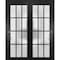 Sartodoors Sliding Closet 12 Lites Bypass Doors, Felicia 3312, Sturdy Rails Moldings Trims Hardware Set, Woo FELICIA3312DBD-BLK-6484 - alternate 1