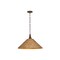 Troy Lighting Kenzo 21in wide 1 Light Pendant in Bronze Leaf F2721-BRL - alternate 1