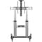 Tripp Lite MOBILE FLAT-PANEL FLOOR STAND - 60 INCH - 100 INCH TVS AND MONITORS, HEAVY-DUTY DMCS60100XX - alternate 1