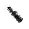Fcs Struts Suspension Strut And Coil Spring Assembly 1333838R - alternate 2