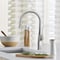 Blanco Rivana Pull Down 1.5 gpm, Stainless 442678 - alternate 4