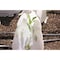 Grow It Now Poly Cone Plant Protectors, PK4 GINLarge - alternate 2