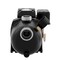 K2 Pumps 1/2 HP Thermoplastic Shallow Well Jet Pump WPS05003K - alternate 2