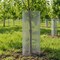 Wrightmaster 24 in. x 50 ft. 20-Gauge Reinforced Hot-Dip Galvanized Welded Poultry Fencing, 1/2 Grid ZoroP503871 - alternate 3