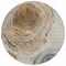 Homeroots 8' Taupe Gray And Brown Round Abstract Washable Indoor Outdoor Area Rug 582808 - alternate 3