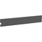 Black Box BLACK BOX BLANKING PLATE - KVM MANAGER IPATH R2 CONTROLLER ACR-RMK2-BP - alternate 1