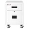 Fireking 1-Hr Fire rated, Mobile Pedestal, Ltr/Lgl file Drawer Arctic White 2M1822-1AW - alternate 1