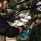 Makita Brushless 12" Top Handle Chain Saw 1 LXT XCU10Z - alternate 4