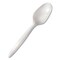 Berkley Square Mediumweight Polypropylene Cutlery, Spoon, Plastic, White, 1000PK BEP03000 - alternate 1