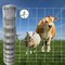 Wrightmaster 48 in. x 164 ft. Reinforced Hot-Dip Galvanized Farm Mesh for Farm Animal Yard, Precision Welding ZR-AF001 - alternate 2