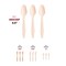 Smarty Had A Party Natural Birch Eco Friendly Disposable Dinner Spoons (600 Spoons), 600PK 4663SP-CASE - alternate 3