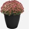 Hc Companies Eclipse 8'' Black Planter with Saucer ECA08000G18 - alternate 2
