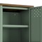Manhattan Comfort Landen 47in TV Stand in Green TV010-GR - alternate 3