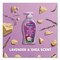 Softsoap Liquid Hand Soap Pumps, Lavender Shea Scent, 6PK US07058A - alternate 3