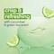 Dove Go Fresh Cool Moisture Cucumber and Green Tea Scent Beauty Bar Soap, 15 Ounce, 18PK 62695514 - alternate 3