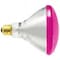 Ilc Replacement Halogen Bulb, 100W, 120V, PAR38, E26 Medium Screw Base LIGHT BULB / LAMP 100PAR/PK - alternate 2