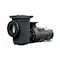 Pentair EQ500 Commercial Pool Pump w/ Strainer Pot, 5 HP, 230V, 1-Phase, 60HZ 340030 - alternate 1