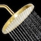 Kingston Brass 10" Round Rainfall Shower Head, Brushed Brass KX140P7 - alternate 2