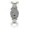 Leviton Single Receptacle Outlet, 20A, Gray, 250V W5461-TGY - alternate 1
