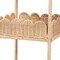 Bali & Pari Brooks Metal-framed Natural Rattan Accent Shelf 267-14615-ZORO - alternate 3