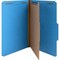 Nature Saver FOLDER, CLSSFCTN, LGL, 1DIV, DB, PK10 NATSP17221 - alternate 1