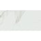 Daltile Grantshire 12in. x 24in. 2.0 MM Glue Down Luxury Vinyl Flooring 60.00 SQFT/Carton, 30PK GR41122412ML2M - alternate 3