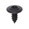 Auveco 4.2-1.41 x 10mm Phillips Type 1A Drive Washer Head - Black, 100PK 12062 - alternate 1
