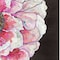 Homeroots Set Of Two Blooms on Black 1 White Framed Print Wall Art, 2PK 406091 - alternate 3