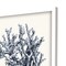 Homeroots Set Of Four Blue Antique Coral White Framed Print Wall Art, 4PK 525714 - alternate 2