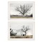 Homeroots Set Of Two Ohio Fields I 1 White Framed Print Wall Art, 2PK 406082 - alternate 1