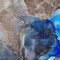 Homeroots 3' X 5' Blue Abstract Washable Non Skid Indoor Outdoor Area Rug 559652 - alternate 2