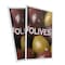 Signmission Olives, Plastic Signs Only 24 Inch x 36 Inch, Corrugated Plastic, 2PK CSB-2436-2PACK-Olives - alternate 1