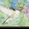Homeroots Hummingbird 1 Black Framed Print Wall Art 407863 - alternate 2