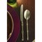 Mepra Bali Flatware Set - 5 Pieces - Pewter Champagne 101522005PC - alternate 2