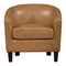 Osp Home Furnishings Ethan Tub Chair, Camel ETN-PD25 - alternate 2