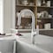 Blanco Rivana Pull Down 1.5 gpm, Stainless 442678 - alternate 5