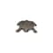 Homeroots 7in Black Turtle Cast Iron Vanity Tray 483157 - alternate 2