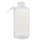 Nalgene Wash Bottle, Plastic, Colorless, PK12 2402-1000 - alternate 2