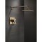 Delta Vero Monitor 17 Series Shower Trim T17253-CZ-WE - alternate 2