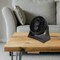 Proctor-Silex 8 Inch 35 Watt 3-Speed Adjustable Tilt Desk Office Fan in Black 750123601M - alternate 3