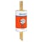 Ferraz Shawmut 1.62in x 5.75in, 600 VAC 50/60 Hz/500 VDC, 125 A, 200 kA AC/100 kA DC Interrupt, GMG Body,  AJT125 - alternate 1