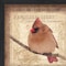 Homeroots Female Cardinal 2 Black Framed Print Wall Art 407372 - alternate 3