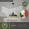 Vaxcel Dorado 1 Light Bronze Gold Farmhouse Outdoor Barn Dome Pendant T0373 - alternate 3
