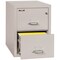 Fireking 2 Drawer, 1Hr Fire & Impact Rated, Vertical, 31" depth Legal Platinum 2-2131-CPL - alternate 2