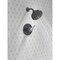 Delta Nicoli Monitor 14 Series H2Okinetic Shower 142749-CS - alternate 3