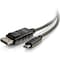 C2G 6ft USB C to DisplayPort Cable - 4K 30Hz 26902 - alternate 1