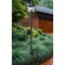 Z-Lite Raphael Sand Black 3 Light Outdoor Post Mounted Fixture 5029PHBR-519P-BK - alternate 2