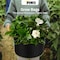 Ipower 7-Gallon Grow Bag Thickened Nonwoven Fabric Pots, Black w/ Green Stitch Sewing, 5PK GLGROWBAG7X5EGRN - alternate 4